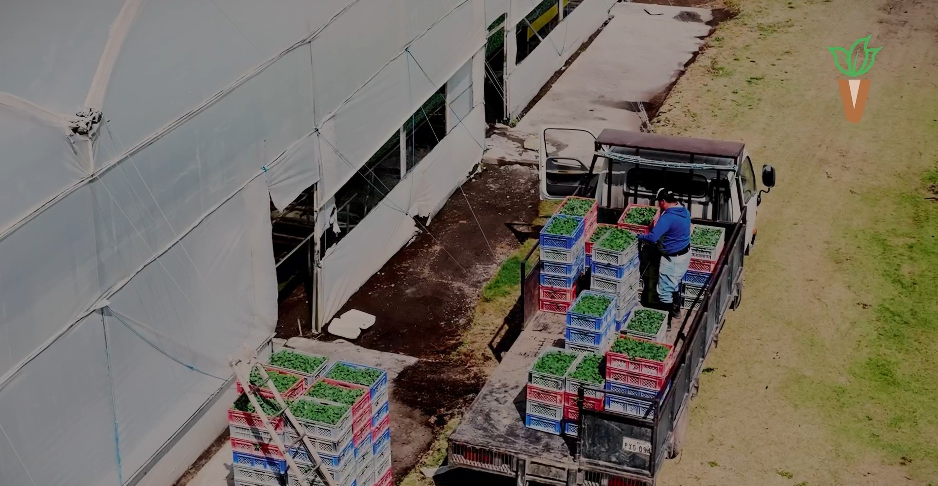 Instalaciones Pilvicsa — vivero tecnificado