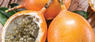 Granadilla
