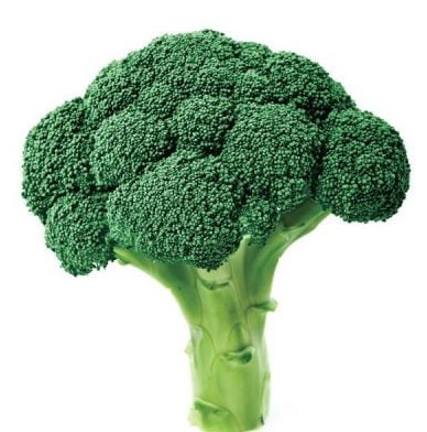 Brócoli Domador