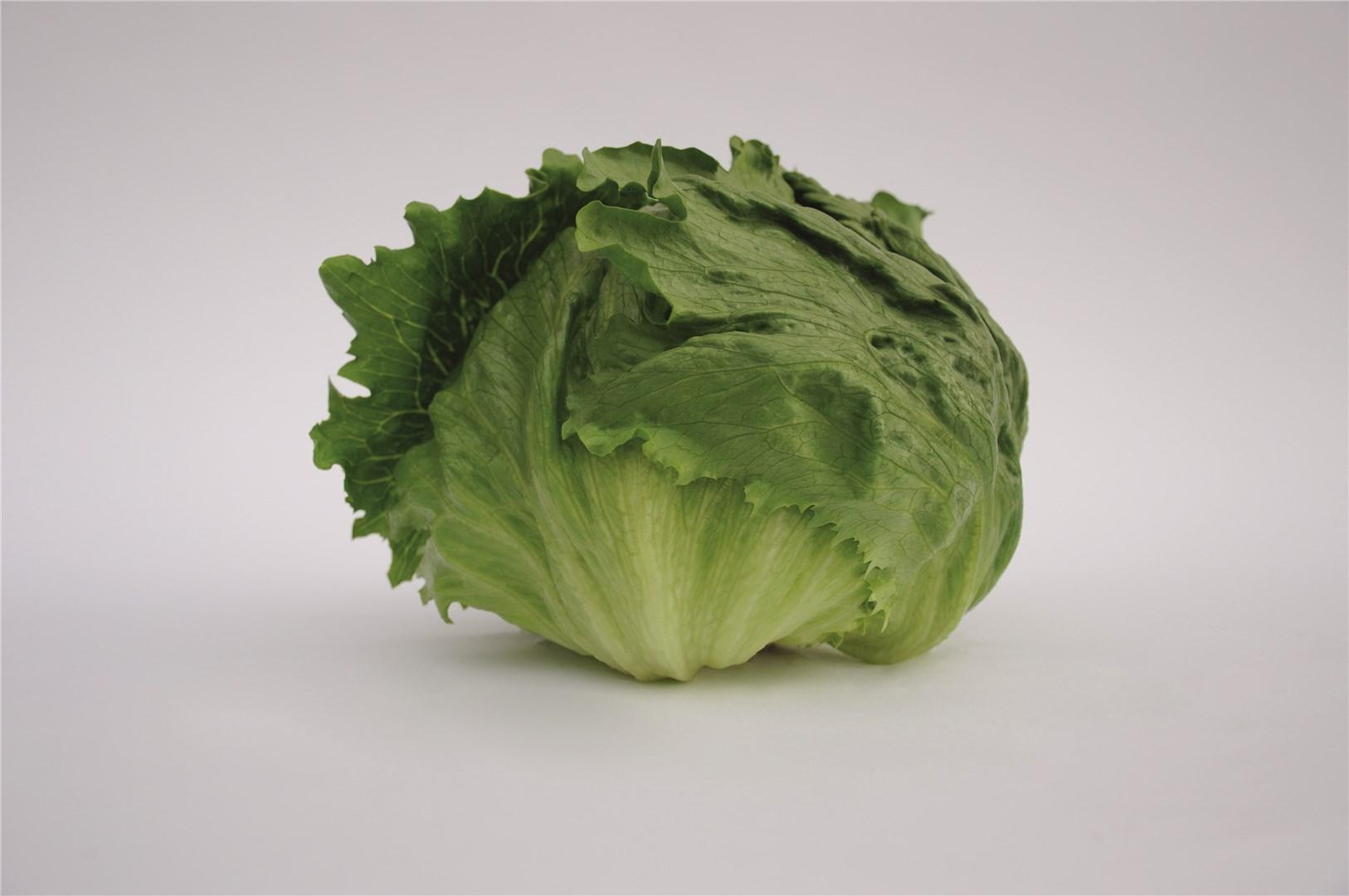 Lechuga Rumours