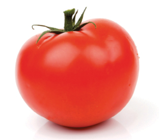 Tomate Sheila Victoria