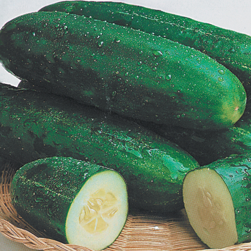 Pepinillo Market More